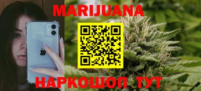 мдпв Бийск