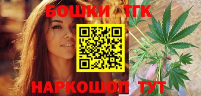 мдпв Бийск