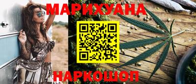 мдпв Бийск