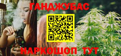 мдпв Бийск