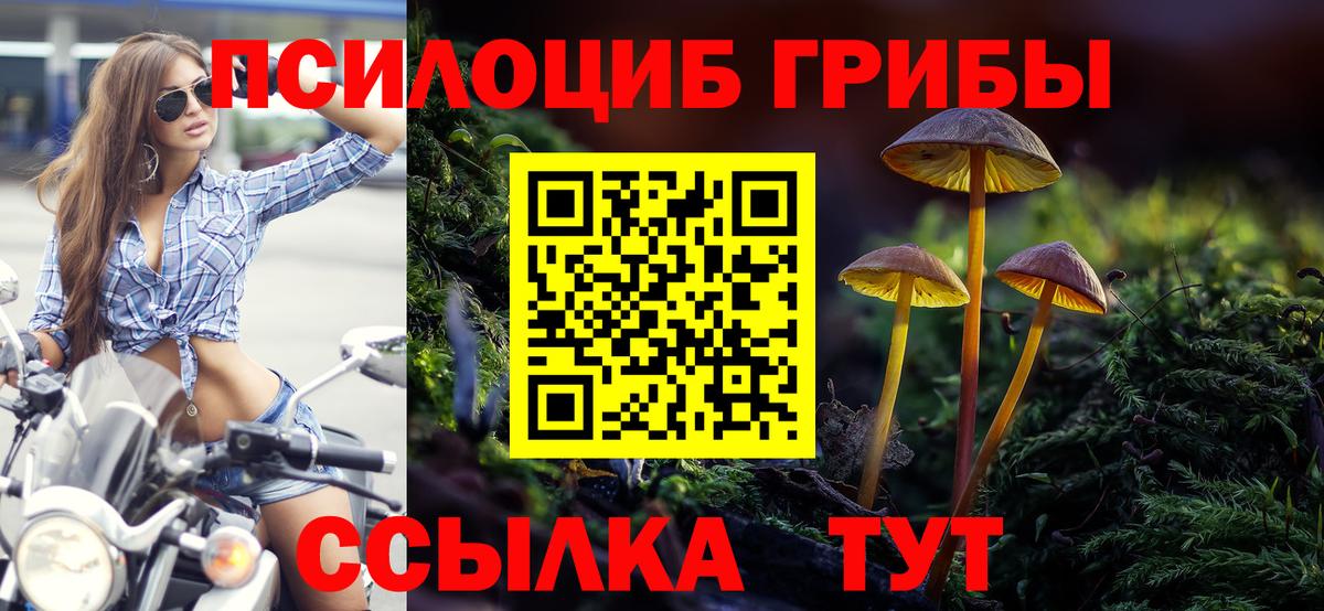 Галлюциногенные грибы Magic Shrooms Касимов