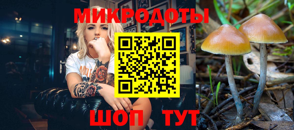 Галлюциногенные грибы Psilocybe  Псилоцибиновые грибы мухоморы  Вход с VPN  Касимов 