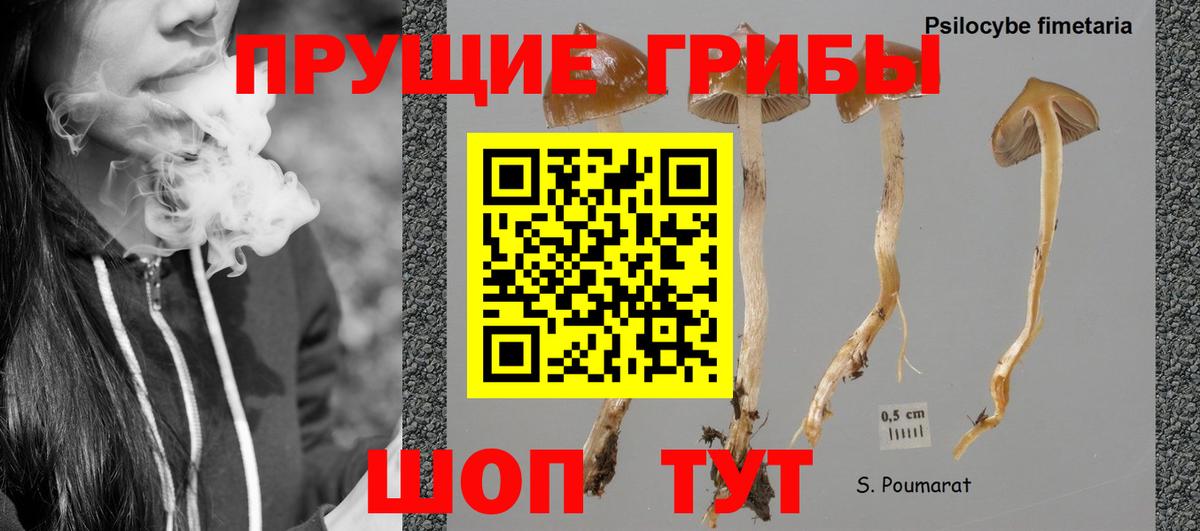 Касимов  Канабис  Меф кристаллы  Cocaine  Конопля  Вход с VPN  ГАШИШ  МЕТАМФЕТАМИН 